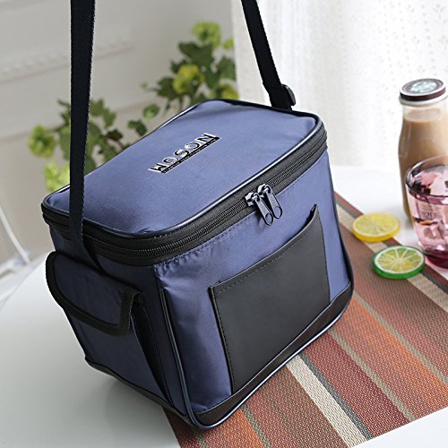 collapsible insulated lunch bag