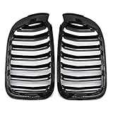 Proteja su radiador de coche, intercooler y otros componentes vitales del motor de la fuerza exterior
