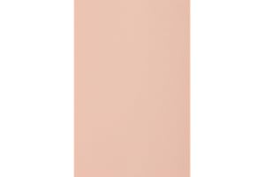 Netuno 20x carton rose clair 250g papier décoratif A4 210x297mm Burano Rosa idéal pour cartes de voeux scrapbooking bricolage invitations art et artisanat anniversaire DIY loisirs créatifs
