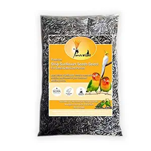 Parrots Wizard All Life Stages Dry Bird Food Small Size Sunflower Seeds for Bird 900 G