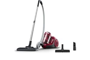 Rowenta Aspiradora Swift Power Cyclonic RO2933 - Aspirador sin bolsa de 750 W para parquet, tecnología ciclónica, cabezal alto rendimiento, motor Effitech, burdeos