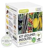 TILLMANN'S Kit Legume Insolite ecocube - Graine a Planter Rapide Petite Surface Balcon - Cadeau Mon Premier Potager