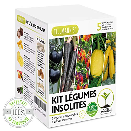TILLMANN'S Kit Legume Insolite ecocube - Graine a Planter Rapide Petite Surface Balcon - Cadeau Mon Premier Potager