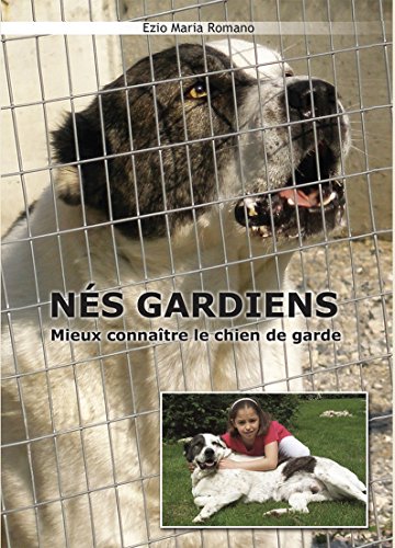 Download NES GARDIENS Download NES GARDIENS
