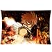 Produktbild Custom Fairy Tail Zwei Seiten bedruckt für 50,8 x 76,2 cm Kopfkissen Fashion Kissenbezug