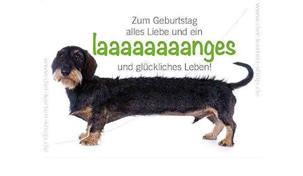 Witzige Gedichte Fr Hunde Freundin