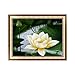 Produktbild sunhoyu DIY 5D Diamant Painting, Full Malerei Crystal Strass Stickerei Painting Diamond Dekoration für Home Wall Décor, Lotus 247#
