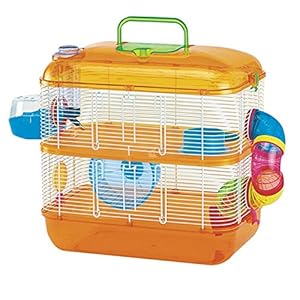 Arquivet 8014080306244 – Jaula Tenerife 40 x 26 x 40 cm