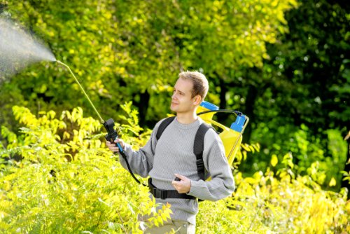 Gloria Rückenspritze Kolbenrückensprühgerät Hobby 1200 mit 12L Tank und Komfort, gelb - 13