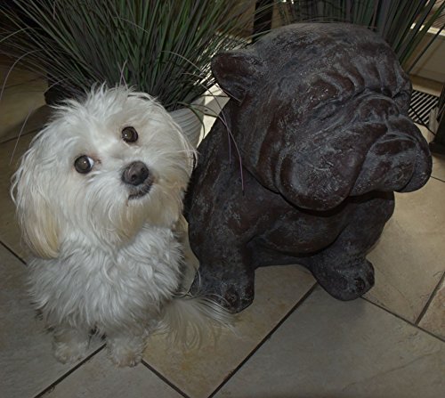 Dekofigur Hund Bulldogge 43x31x43cm Gartenfigur Dekoration Polyresin Skulptur - 4