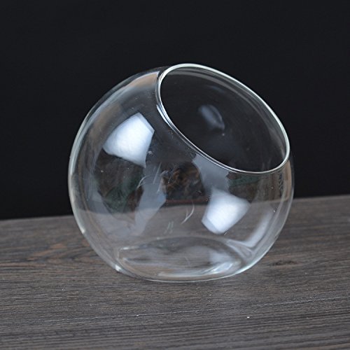 Gazechimp Kugel Ball Form , Glas Blumenvase Mikro DIY Pflanzen Blumen Terrarium Container Flasche , 12 x 11cm - 3