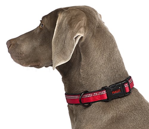best selling dog collars