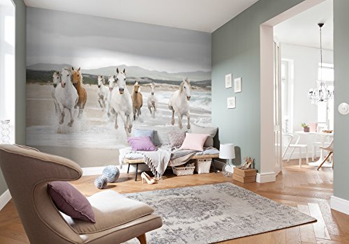 Komar 8–986 368 x 254 cm „Weiße Pferde“ Tapete Wandbild – Weiß/Creme (8 Stück) - 2