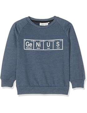 NAME IT Baby-Mädchen Sweatshirt Nitvalexander Ls Bru Swe Mini