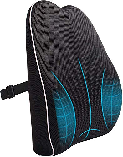 MonTrüe Coussin Lombaire Ergonomique en Mousse à Mémoire Oreiller De Soutien du Dos