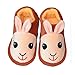 Lovely Rabbit Winter Baby Shoes Warm Indoor Slippers(Brick Red, 4-5 Years Old)