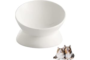 ZYKPHAO Elevated Cat Food Bowl, Ceramic Raised and Tilted Pet Water Bowl, Anti Vomiting Cat Feeding Bowls - Stress Free Shallow Cat Bowl, Stress Free for Cats and Small Dogs,150ml/5oz (White, 1 Pack)