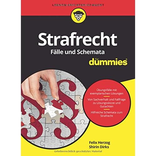 Strafrecht Fälle und Schemata für Dummies Strafrecht Fälle und Schemata für Dummies