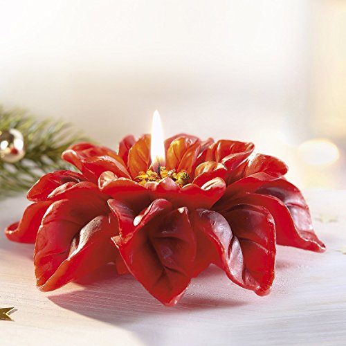 Preisvergleich Produktbild Kerze "Weihnachtsstern"