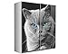 Produktbild Schwebetürenschrank YANIS Kleiderschrank Schlafzimmerschrank (weiß / katze motiv)