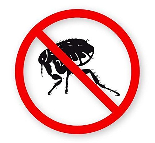 Herba Max Flohshampoo 200ml für Hunde und Katzen - 2