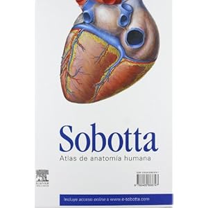 Pack Anatomía Sobotta: Paulsen + Drake