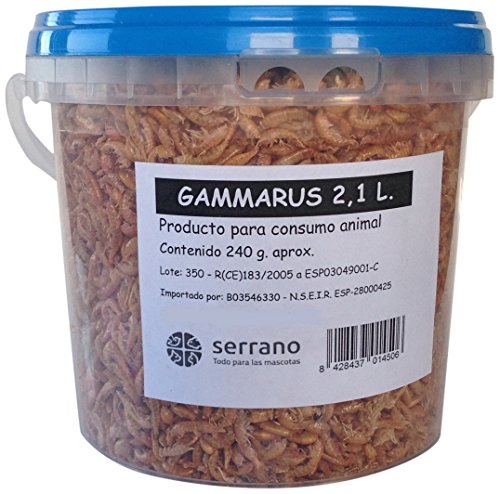 SERRANO GAMMARUS 2.1L. 240gr aproximad.