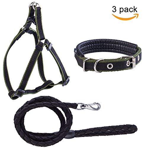 Preisvergleich Produktbild Petender Hundeleine, Geschirr und Halsband, verstellbar und beständig, geflochtenes Nylon-Leinen-Set für kleine / mittelgroße Hunde – 3er-Pack