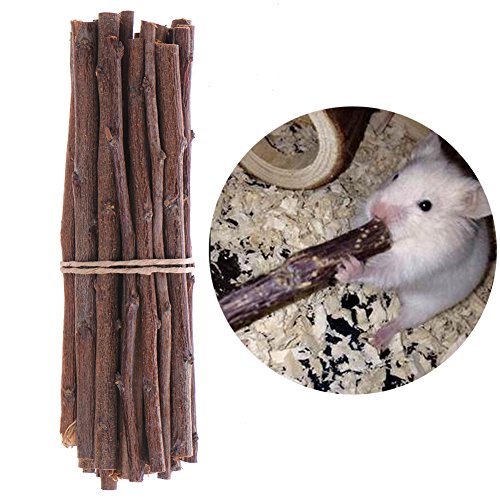 Eichhörnchen Tree Zweige, Holz Kauen Spielzeug für Hamster Ratten Mäuse Rennmäuse Kleine Tiere