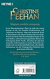 Image de Geliebte des Feuers: Roman - (Sea Haven, Band 5)