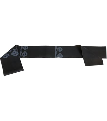 Thera-Band Bande D'exercice 1,5 M Stretch Noir Avec Officielle Sans Manuel