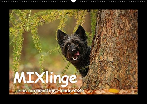 MIXlinge (Wandkalender 2016 DIN A2 quer): ...eine einzigartige Hunderasse (Monatskalender, 14 Seiten ) (CALVENDO Tiere)