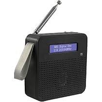 Radio Portatile NEWTRO DAB/FM/Bluetooth - Batteria 2200 MAh, Antenna Telescopica, USB-C, Per Casa E Viaggi