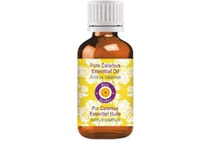 Deve Herbes Olio essenziale di calamo puro (Acorus calamus) distillato a vapore di grado terapeutico naturale con contagocce in plastica 15 ml