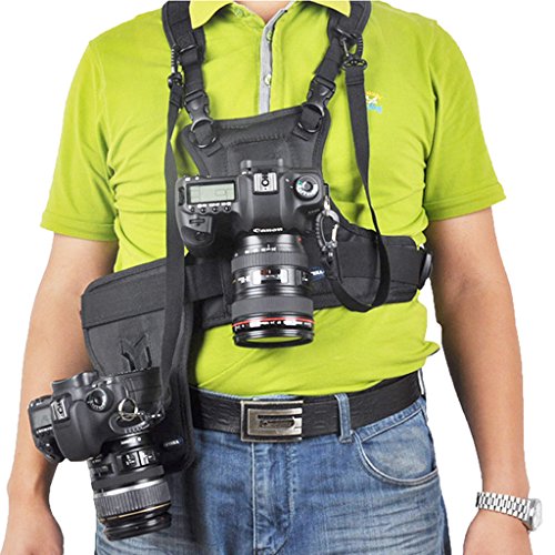 MICNOVA MQ-MSP01 Nouveau Bandouli  re de Transport Photographe Sangle de Poitrine Corps   lastique R  glable avec C  t   Housse de Cam  ra 1 4  Vis pour Canon Nikon Sony DSLR Cam  ra