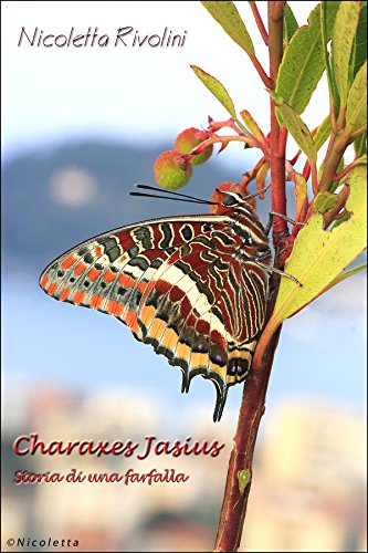 Download Charaxes Jasius: Storia di una farfalla Download Charaxes Jasius: Storia di una farfalla