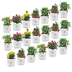 Casa De Amor Plant Bags (Pack of 10, White)