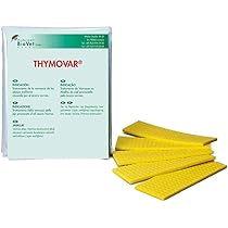 Apifonda Bienenfutterteig 15kg Karton