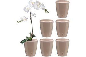 Santino Zestaw 6 doniczek do storczyków, średnica 12 cm, samonawadniająca się doniczka z systemem knotów i wskaźnikiem poziomu wody do użytku w pomieszczeniach, piaskowa, 1,3 l