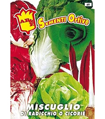 Misticanza Di Lattughe Colore E Gusto Maxibusta - Agraria Mentana - Foto 5