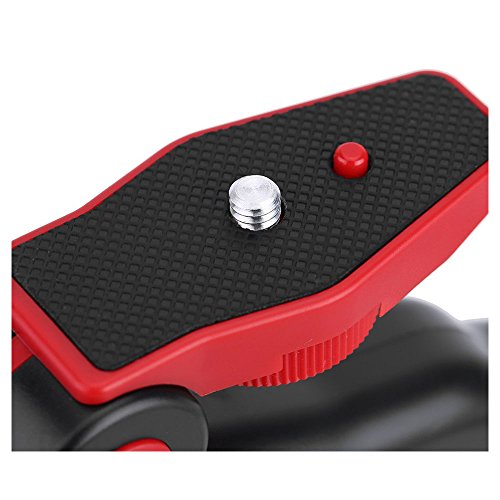 Compara Precios para Soporte del tripode plegable - TOOGOO(R) 2 en 1
Soporte del tripode de superficie de mesa plegable portatil mini +
empunadura de mano para GoPro 4/3+/3/2/1 DC DSLR SLR Camara y
Smartphone (Rojo) Revisión