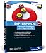 SAP ERP HCM - Technische Grundlagen und Programmierung: Ihr technischer Ratgeber zur SAP-Personalwirtschaft (SAP HR) (SAP PRESS) by Jürgen Kielisch, Peter Gilberg