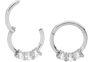 365 SLEEPERS 16G Surgical Steel 8mm 10mm Gem Hinged Segment Ring Helix Tragus Septum Nose Hoop Unisex Earring Body Piercing Jewellery