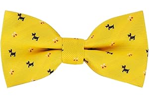 ‎AXY axy Kinderfliege, Jungen Fliege, bereits gebunden, Konfirmation verstellbar in verschiedenen Farben KFLI2 (Bunt Nr.18)