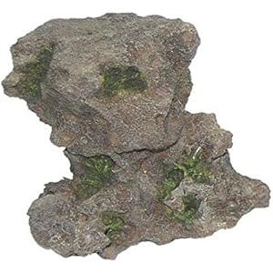 Haquoss Tanganjika Rock 5, 19x 15x 21H cm