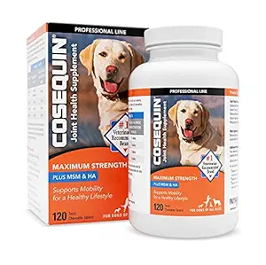 Cosequin DS Maximum Strength Plus MSM & Omega-3's Chewable Tablets, Count of 120, 120 CT