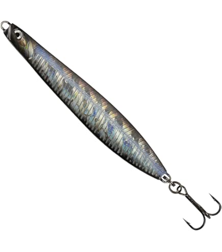 Canne à Lancer Daiwa BG Popper 2,30m 40-150g Pour Pêche En Eau Salée