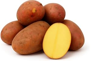 ‎LAMERA Laura Potato Half Floury Pre-Seasure (Half Floury) Red Potatoes 1-25 kg Suitable for Salt, Pel, Baking Foil and Gratin Potatoes, Ideal for Homemade Chips (10)