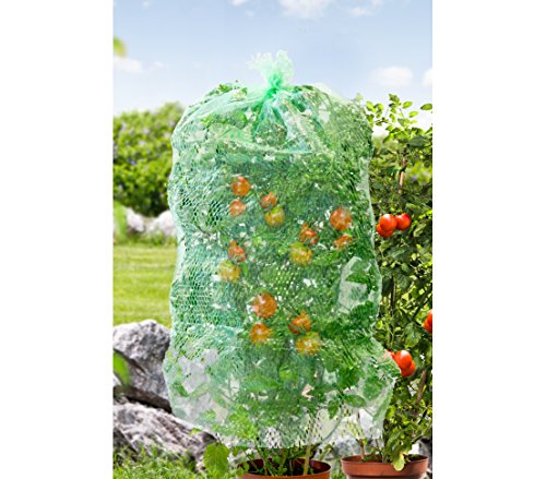 Dehner Tomatenhaube mitwachsend, ca. 125 x 65 cm, Inhalt 5 Stück - 3