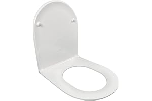 Jacob Delafon Asiento Rodin+ E23280 Thermodur Extra-plano de Descenso Progresivo y Desmontable. Color Blanco